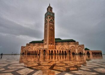 هل لحوم العلماء مسمومة أم هي بنكهة الشوكولاطة؟