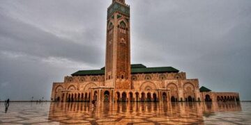 هل لحوم العلماء مسمومة أم هي بنكهة الشوكولاطة؟