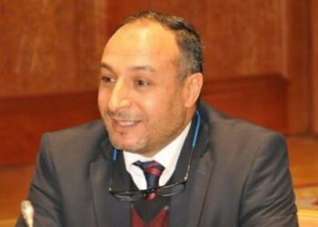 القضاء الدستوري والأنظمة الداخلية للبرلمان