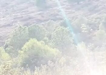 جناتي  .. الاعتداء على الغطاء الغابوي جريمة ..  من هم  المتواطؤون  ؟