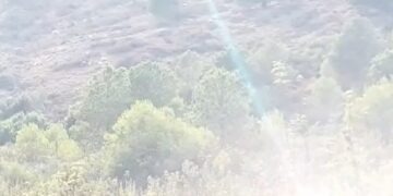 جناتي  .. الاعتداء على الغطاء الغابوي جريمة ..  من هم  المتواطؤون  ؟