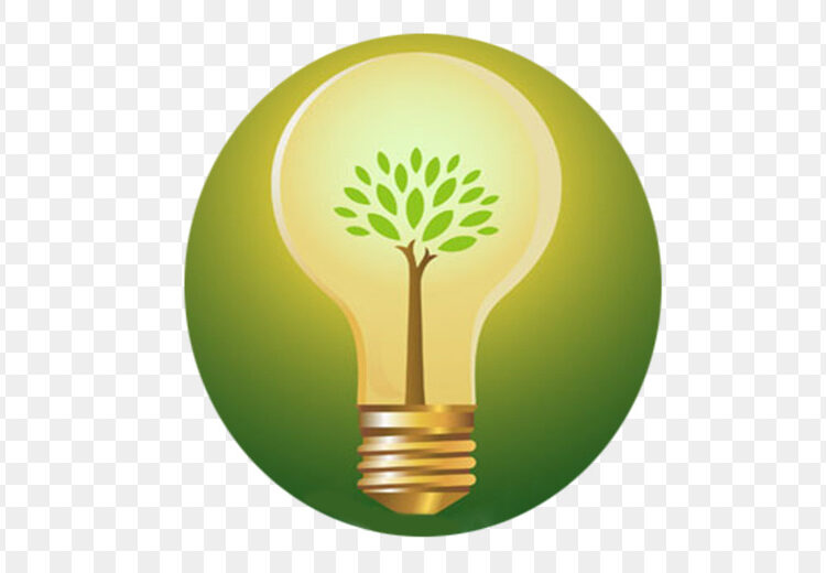  «الغسل الأخضر ».. مؤسسات دولية تمارس أقذر وسائل «النصب والاحتيال» باسم البيئة 