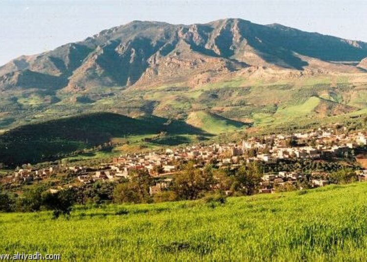  زلزال يضرب إقليم الدريوش