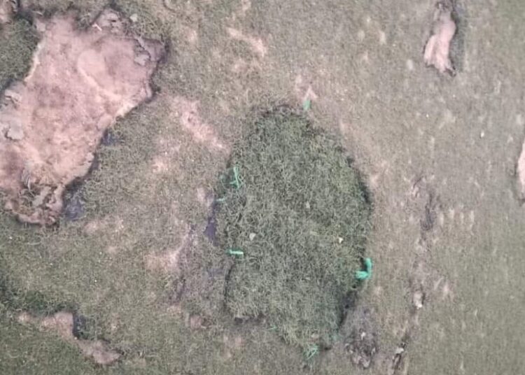 الغش في .. بولوحوش بمدينة مريرت 