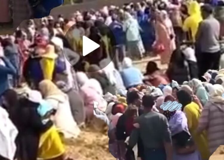 إغماءات وهستيريا لأجل الحصول على عقد عمل في حقول الفراولة بإسبانيا