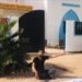الناشط الحقوقي نورالدين اشطم .. لهذه الأسباب تم منعي من حقي