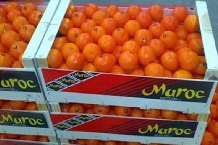 ارتفاع أسعار الطماطم: حظر المغرب الصادرات إلى غرب افريقيا