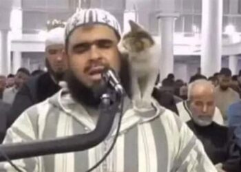 فيديو الإمام والهر الذي بدد صورة كفار قريش!