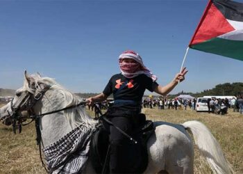 استطلاع: 50% من الأمريكيين يعتبرون إسرائيل “نظام فصل عنصري”