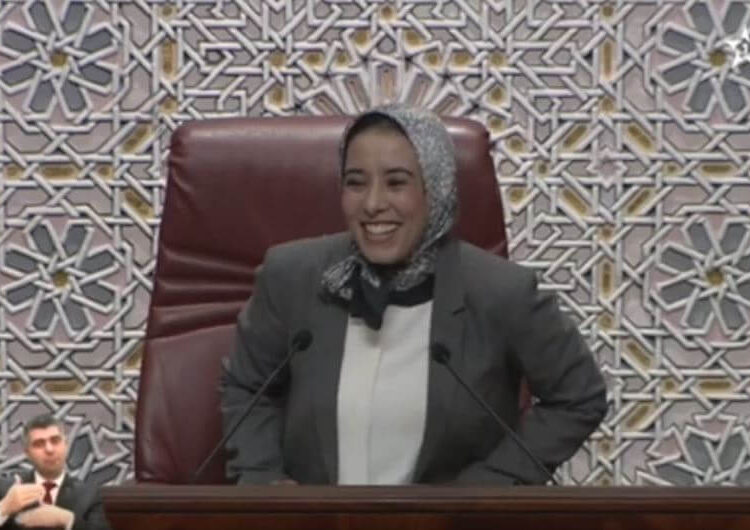 آمنة ماء العينين: لجنة أخنوش للصحافة .. انقلاب على المشروعية الدستورية