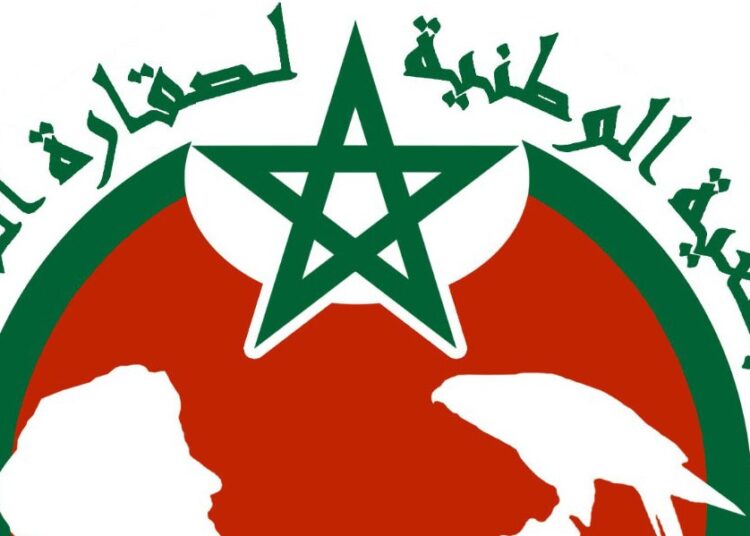الدورة 1 للمهرجان الوطني للبيزرة: الحفاظ على الشاهين عبر الأجيال