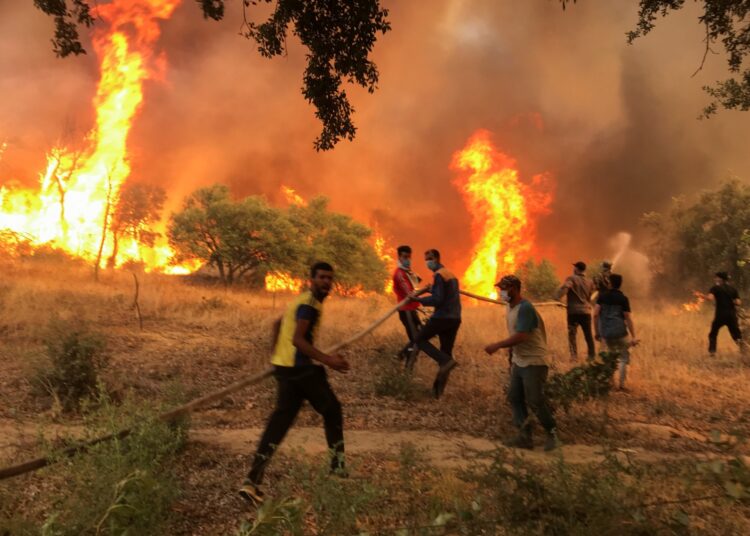 المملكة المغربية .. تتابع ببالغ الأسى والأسف حرائق الغابات بالجزائر