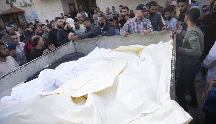 ما يحدث في غزة كارثة لم يشهدها التاريخ من قبل