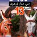قرية الألعاب .. في مهرجان بني عمار 