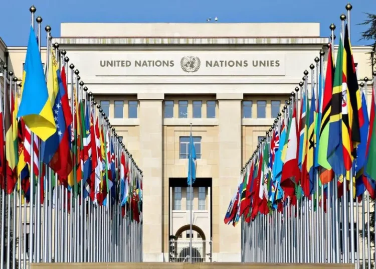 الهيبة يعيد المملكة المغربية .. للجنة حقوق الإنسان الأممية