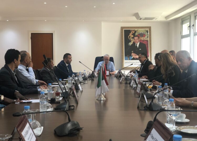 FMM: échange des expériences entre les médecins du grand Maghreb