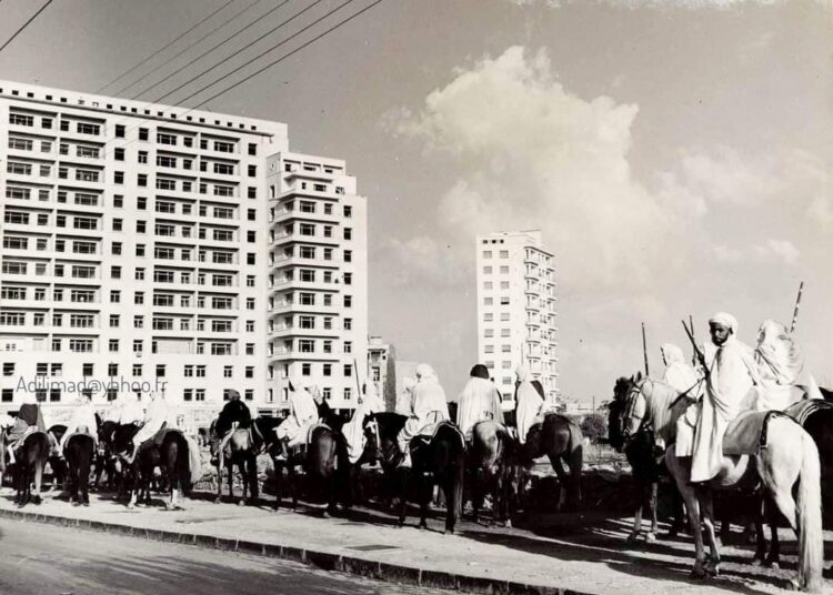 عودة  التبوريدة .. إلى  مهرجان الفروسية أصيل أنفا
