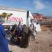 حمير وبغال .. استفادوا من  حملة بيطرية لجمعية SPANA ببني عمار