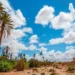 طقس السبت بالمغرب: برد و ضباب و رياح