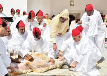 العاهل المغربي .. يدعو الشعب المغربي للإحجام عن القيام بشعيرة الأضحى