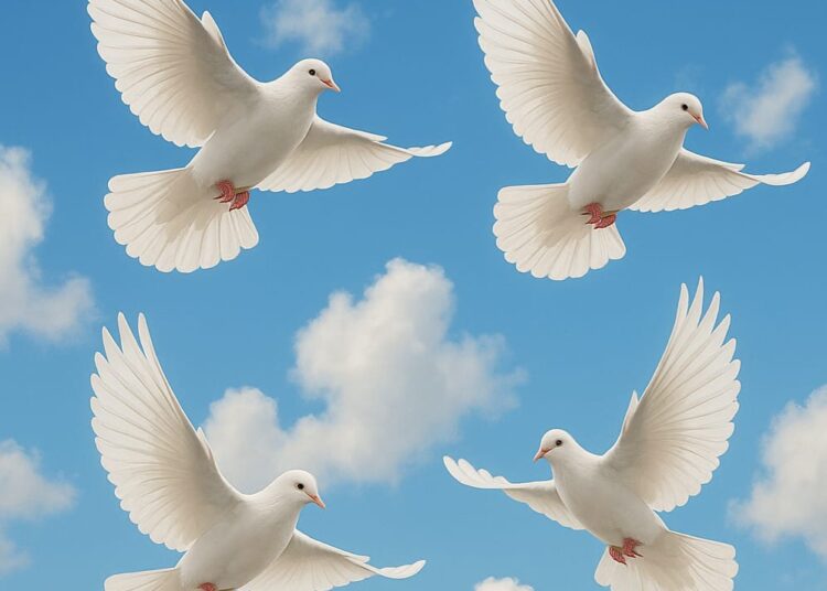 غرباء .. بين وفرة البيانات وهيمنة الخوارزميات