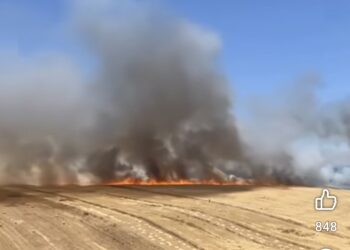 حريق مهول بضواحي عين السبيت بسبب عطب في آلة الحصاد.