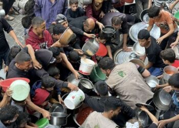 مقررة أممية لأهل غزة: جوعكم عار علينا