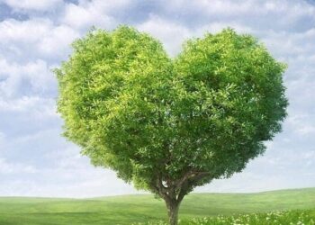 نُورُ الله : المُعَادَلَةُ الغَائِبَةُ فِي الفِيزْيَاءِ المُعَاصِرَة