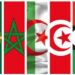  أول لقاء حواري مع الجاليات المغاربية بأوروبا .. “إكراهات وتحديات بناء اتحاد المغرب الكبير”