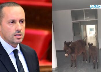 بالفيديو .. فضيحة وزارة الصحة .. ” الحمير “في استقبال المرضى بالمركز الصحي لجماعة ولماس