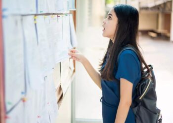 Baccalauréat 2025 : un taux de réussite de 66,80 % avec une nette avance pour les filles