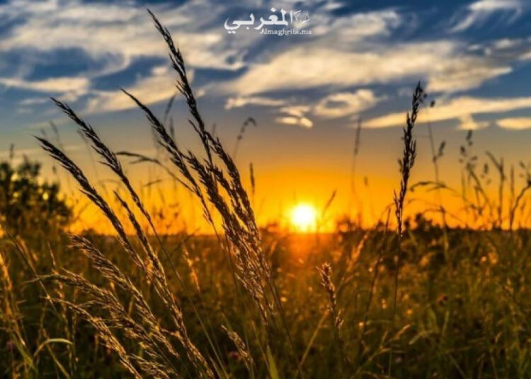طقس حار اليوم الجمعة بالمغرب