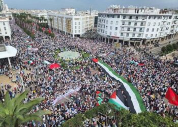 المغرب .. تنظيم 85 مظاهرة تضامنا مع غزة
