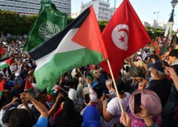 تونس .. وقفة احتجاجية ضد التجويع والإبادة في غزة