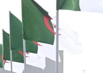 تعليق بث 4 قنوات تلفزيونية خاصة في الجزائر بسبب “إخلالات مهنية فادحة”