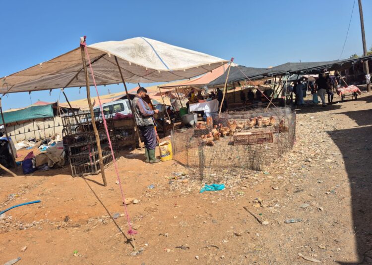 صور من بلادي بعدسة ” لوبوكلاج ” (مغرب الكاميرا طافية ).. سبت تمارة
