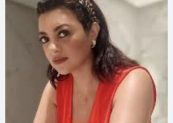 مايسة سلامة .. تتهم   أخنوش  بالرشوة والمحسوبية  قبل الانتخابات
