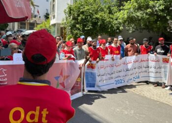  في اليوم الوطني للإعلام.. المنظمة الديمقراطية تدعو لإصلاح عمومي تشاركي يحمي الحقوق ويحصّن مهنية القطاع
