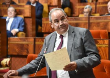 هل كان قرار عز الدين ميداوي صائبا؟ رأيي في مشروع إصلاحِ أَطاريحِ الدُّكتوراه