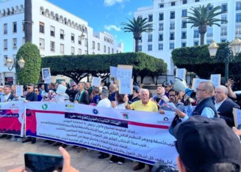 قرار دستوري يهزّ قانون الصحافة… الهيئات المهنية تحمل الحكومة مسؤولية “الانحباس والتغول” وتطالب بإعادة القانون إلى الحوار