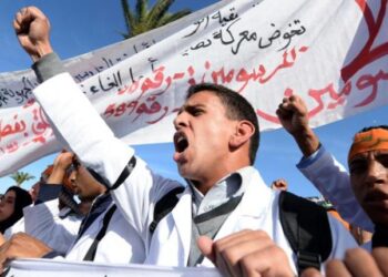 التعليم بالمغرب بين الطموح والأزمة: المنظمة الديمقراطية للتعليم تدق ناقوس الخطر في اليوم العالمي  للتعليم