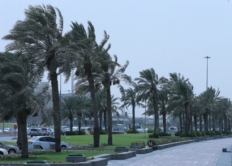 طقس الأربعاء بالمغرب .. بارد مع رياح قوية 