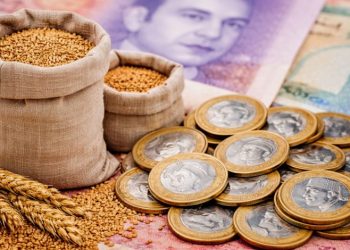 رمضانيات / ح 28: زكاة الفطر بين النص والاجتهاد .. وبين روح العبادة وثقافة التحريم