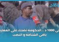 حاولي 1000 د .. الحكومة تضحك على المغاربة .. باقي الشناقة و النصب