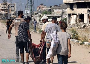 صحافية ورسامة إسرائيليتان تقارنان بين المحرقة النازية وحرب الإبادة في غزة