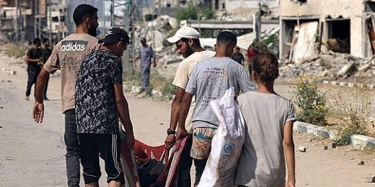 صحافية ورسامة إسرائيليتان تقارنان بين المحرقة النازية وحرب الإبادة في غزة