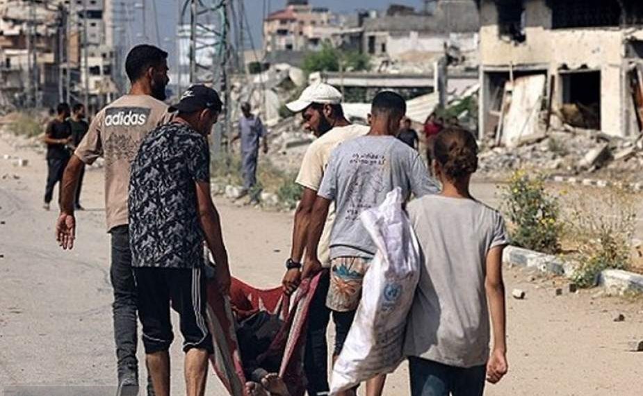 صحافية ورسامة إسرائيليتان تقارنان بين المحرقة النازية وحرب الإبادة في غزة
