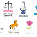 أي مستقبل للأحزاب في المغرب؟