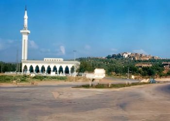 في اليوم العالمي للبيئة.. أحمد الطلحي يدعو إلى جبهة مدنية لحماية غابات طنجة