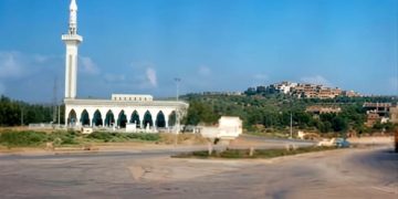 في اليوم العالمي للبيئة.. أحمد الطلحي يدعو إلى جبهة مدنية لحماية غابات طنجة